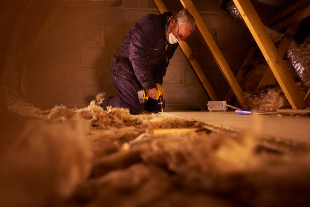 Best Insulation for Specific Applications in Skyline, AL